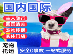 贵阳龙洞堡机场快运国际宠物托运 【国